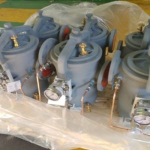 Simplex Strainer (Casting item)