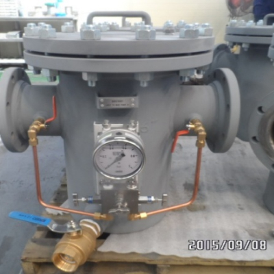 Simplex Strainer (Fabrication item)