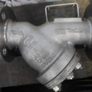 Y-Type Strainer (Casting item)